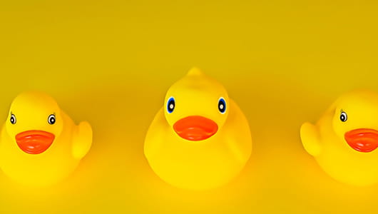 Getting Your Ducks in a Row for Your Brand Launch