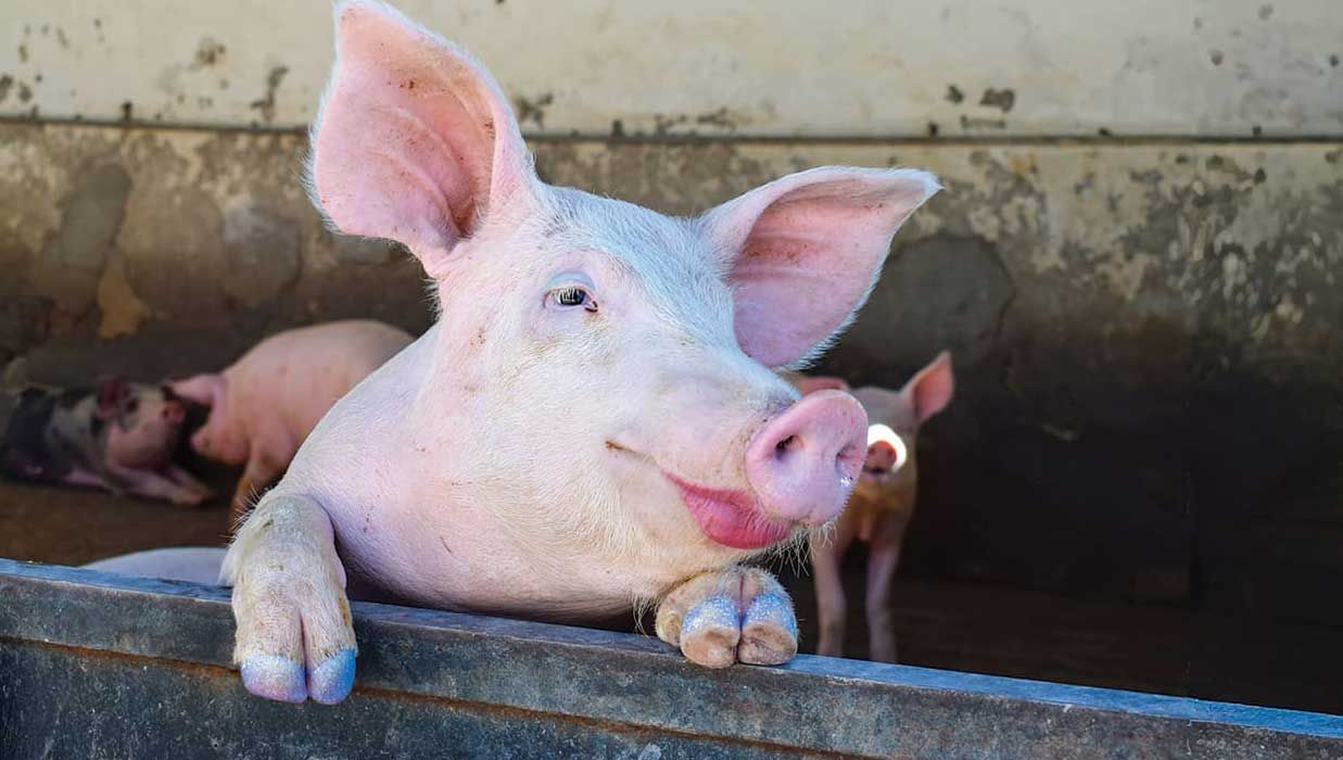 Design Isn’t Here to Simply Make Things Pretty